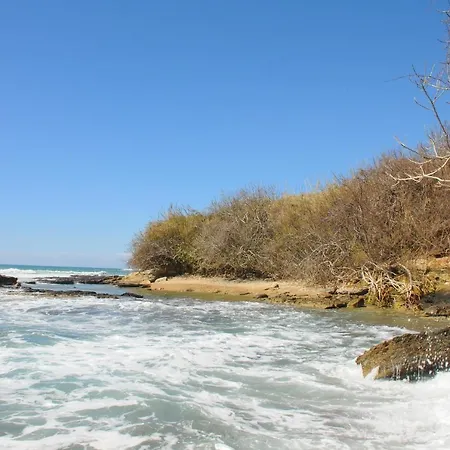 Отель Club Star Beach